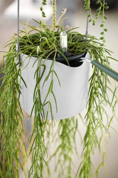 b.for swing 18cm wit